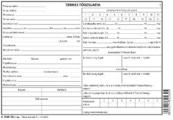 PÁTRIA Terhes törzslap 6 lapos füzet A/5 fekvő C. 3341-38