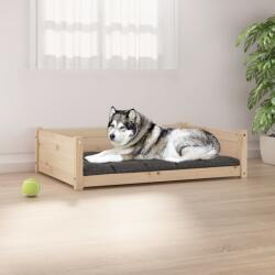 vidaXL Pat pentru câini, 105, 5x75, 5x28 cm, lemn masiv de pin (821462) - vidaxl