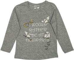 EPlus Tricou cu mânecă lungă pentru fetiță - Harry Potter Hedwig gri Mărimea - Copii: 110