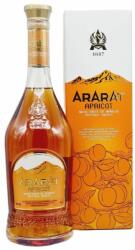 ARARAT Apricot Brandy 0.7L, 35%