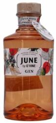 G'Vine June Wild Peach & Summer Fruits Gin 0.7L, 37.5%