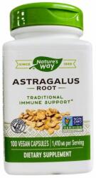 Nature's Way Astragalus kapszula 100 db