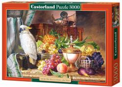 Castorland Puzzle Castorland din 3000 de piese - Tablou cu fructe si papagal (C-300143-2) Puzzle