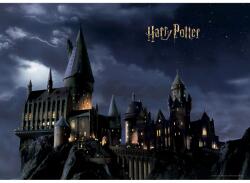 4-Home Foto-tapet copii Harry Potter 252 x 182 cm, 4 piese