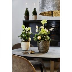 Soendgen Keramik Ghiveci ceramica, Pescara Festive (SK-1332-0012-2830)