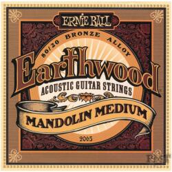 Ernie Ball P02065 - Earthwood Mandolin 80/20 Bronze Loop End - Medium - H932H