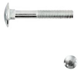  Kapupánt csavar 10x160 (DIN 603, 4.8 - horganyzott)