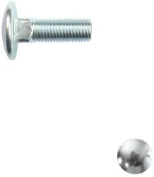  Kapupánt csavar 8x25 (DIN 603, 4.8 - horganyzott)