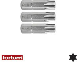 Fortum 4741440 torx TX40x25 mm bit 3 db-os (1/4") (4741440)