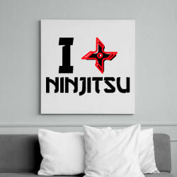 printfashion I love Ninjutsu - Vászonkép - Fehér (9449560)