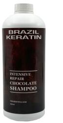 BK Brazil Keratin Brazil Keratin Intensive Repair Chocolate Shampoo 550 ml