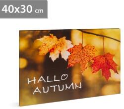 Family LED es fali hangulatkép, Hello ősz, 2 x AA, 40 x 30 cm 58502 (58502)