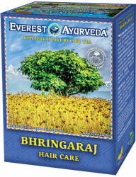 Everest Ayurveda Hajnövekedés tea 100 g