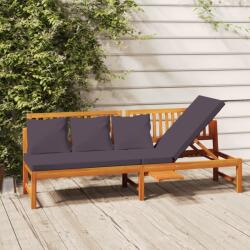 vidaXL Pat de zi cu perne gri, 200x60x75 cm, lemn masiv de acacia (312145)