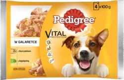 PEDIGREE Vital Protection lamb and chicken in jelly 52 x 100 g