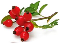 Naturpolc organikus csipkebogyó olaj - 20 ml