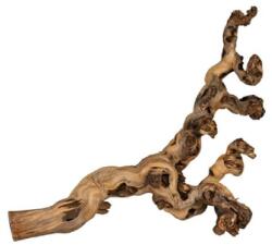TRIXIE Szőlőtőke gyökerei 1 db homokfúvott 35-45 cm