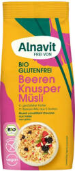 Alnavit Musli crocant cu fructe fara gluten, bio, 300g Alnavit - revivit