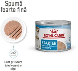Royal Canin Starter Mousse gestatie/ lactatie pui hrana umeda caine 195 g