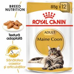 Royal Canin Maine Coon Adult Gravy hrana umeda pisica 85 g