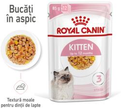 Royal Canin Kitten hrana umeda pentru pisica in aspic 12 x 85 g
