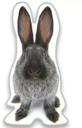  Nyuszis Grey formapárna, díszpárna 22x36 cm (CBX544666)