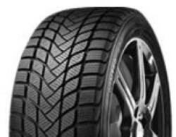 Delinte WD6 205/55 R17 95H