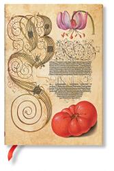  Paperblanks butikkönyv, midi, sima, Lilly & Tomato Mira Botanica Flexis (FB9349-7)