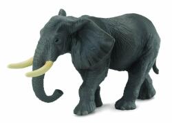 CollectA Figurina Elefant african Collecta, 15 x 9 cm, 3 ani + (COL88025XL)
