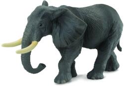 CollectA Figurina Elefant african - Collecta (COL88025XL) - bekid