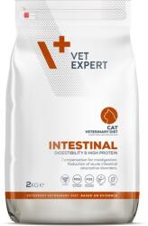 VetExpert Intestinal Cat - Diétás eledel macskák számára 2 kg