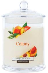 Wax Lyrical Home&Lifestyle Mandarin Peach Small Candle Lumanare Parfumata 120 g