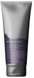 Björn Axén Mască pentru părul galben - BjOrn AxEn Color Refresh Treatment Cool Silver Blonde 250 ml