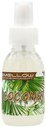 Liquid Elements Odorizant auto Liquid Elements Smellow' s, pulverizabil, 100ml, Cocos (4260632391983)