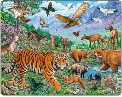 Larsen Puzzle maxi Tigrul Amur in Siberia vara, orientare tip vedere, 36 de piese, Larsen EduKinder World Puzzle