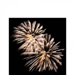 Ambiente Firework papírszalvéta 25x25cm, 20db-os
