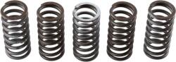 TRW Set arc ambreiaj TRW MEF309-5 (MEF309-5) - automobilus