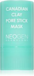 Neogen Dermalogy Canadian Clay Pore Stick Mask masca pentru curatare profunda pentru micsorarea porilor 28 g