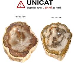  Bol din Fosil Lemn Mineral Natural - 16-18 x 15 x 4-5 cm - 1 Buc Castron