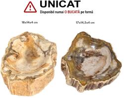 Bol din Fosil Lemn Mineral Natural - 17-18 x 13-14, 5 x 4 cm - 1 Buc