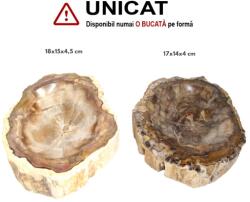  Bol din Fosil Lemn Mineral Natural - 23x20x5 cm - Unicat Castron