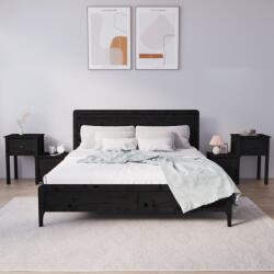 vidaXL Noptiere, 2 buc. , negru, 79, 5x38x65, 5 cm, lemn masiv de pin (814548)