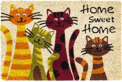  ИЗТРИВАЛКА КОКОС РУКО 40x60 Home КОТКИ (201147-040х060-789)