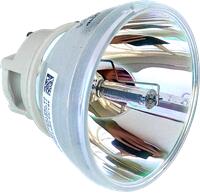 ViewSonic RLC-109 lampă originală fără modul (RLC-109)