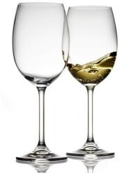 Bitz Pahar pentru vin alb, set de 2 buc, 450 ml, Bitz (911938)