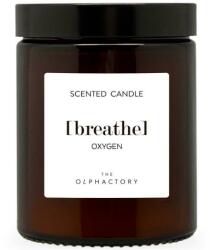 Ambientair Lumânare aromată - Ambientair The Olphactory Oxygen Scented Candle 360 g