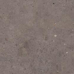 Pastorelli Biophilic sötétszürke 60x60 cm-es szőnyeg P009456 (P009456)