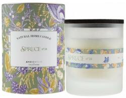 Ambientair Lumânare parfumată Spruce n. o 24 - Ambientair Enchanted Forest Home Candle 200 g