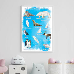Partikellékek poszter Sarkvidék állatai poszter