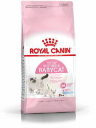 Royal Canin ROYAL CANIN Anyamacska és cica 2 kg
